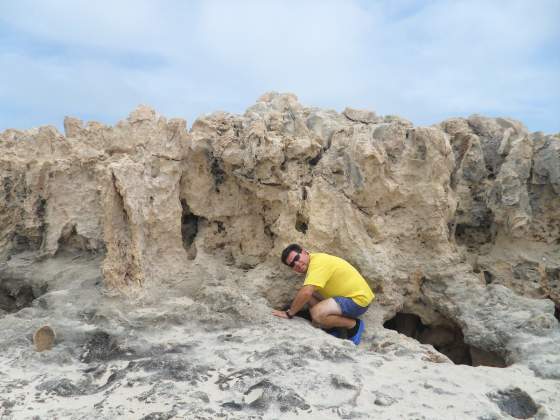 Curious George checking depth of hole